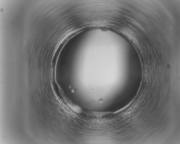 X0000059040992200510171844