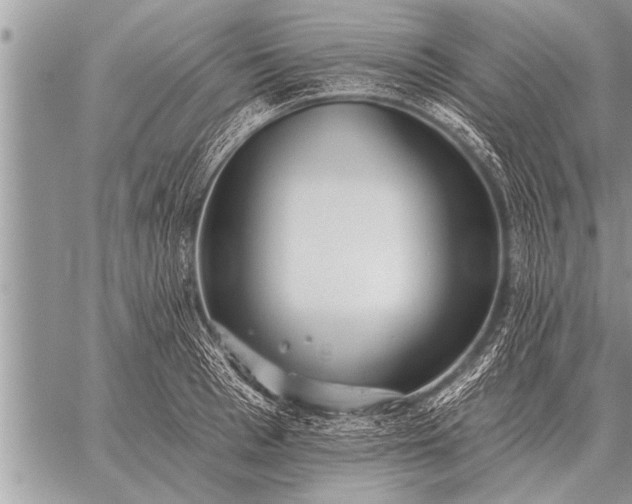 X0000059040993200510171844