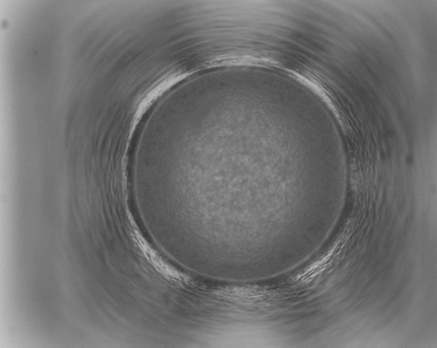 X0000059040995200510171844