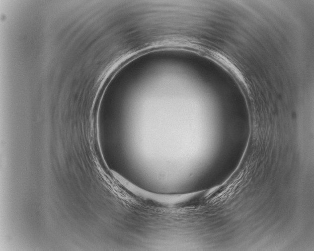 X0000059040996200510171844