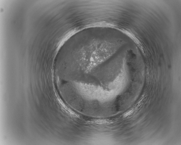 X0000059040998200510171844