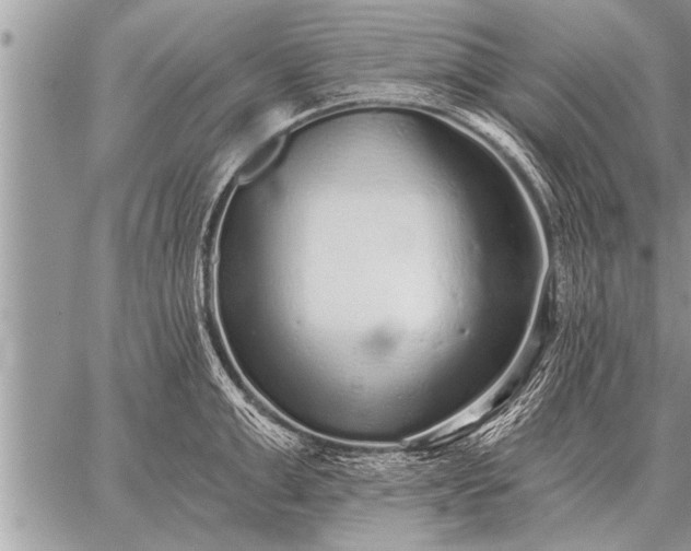 X0000059040999200510171844