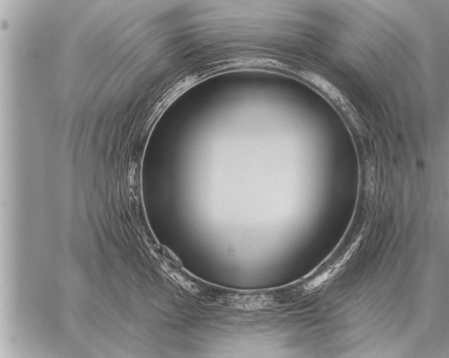 X0000059041001200510171844