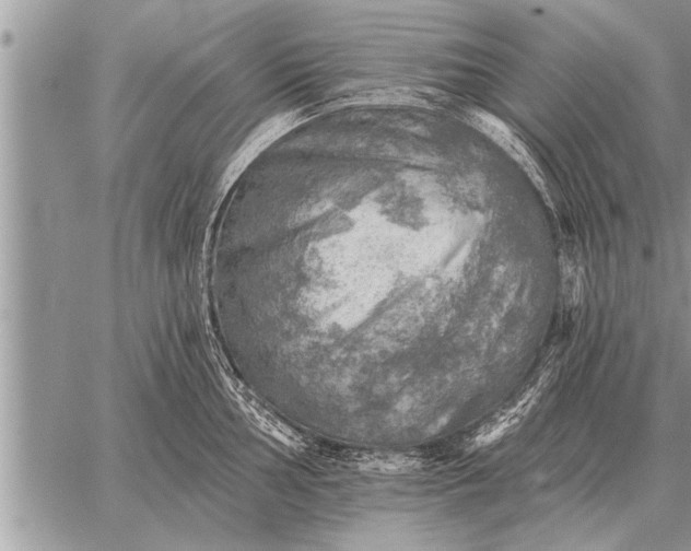 X0000059041002200510171844