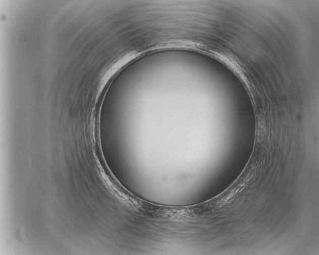 X0000059041003200510171844