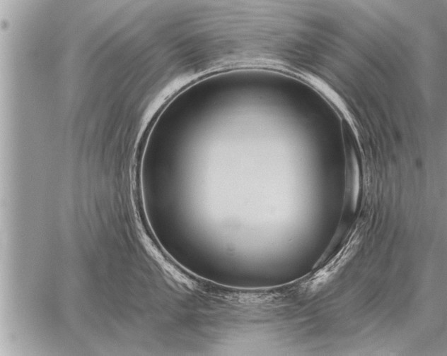 X0000059041005200510171844