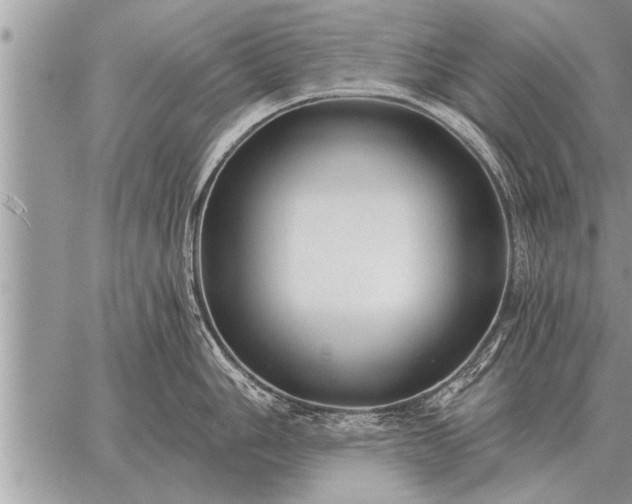 X0000059041006200510171844