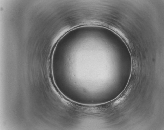 X0000059041007200510171844