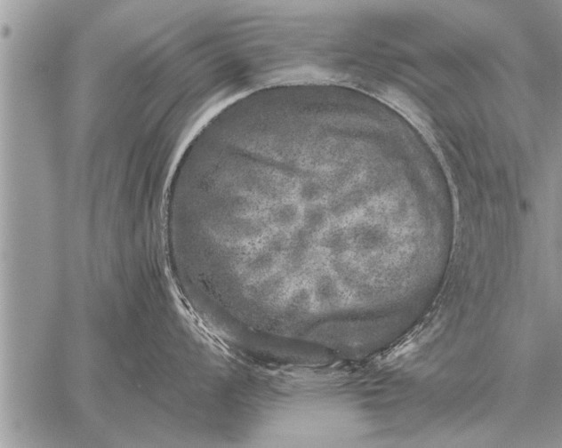 X0000059041008200510171844