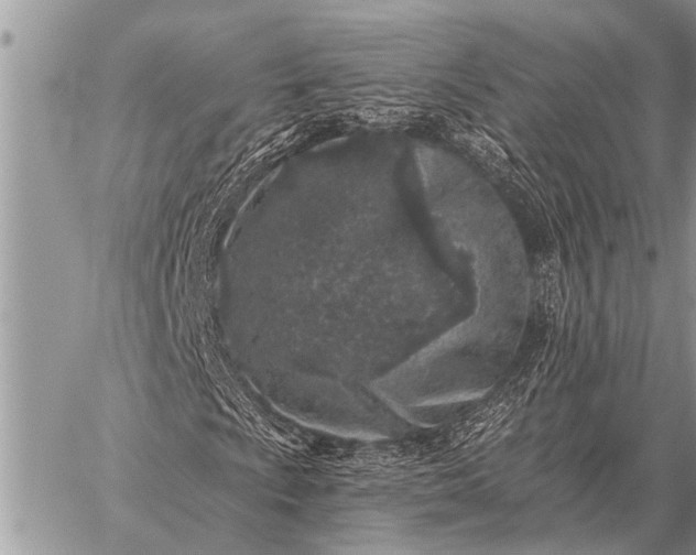 X0000059041009200510171843