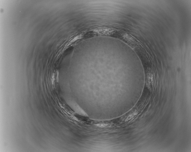 X0000059041010200510171843