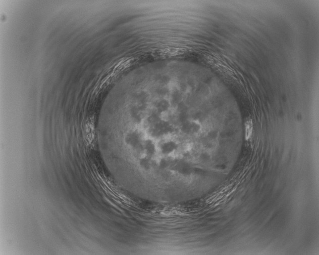 X0000059041011200510171843