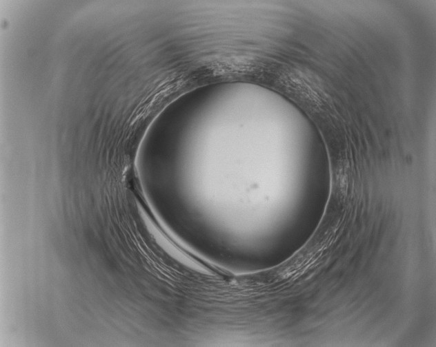 X0000059041012200510171843