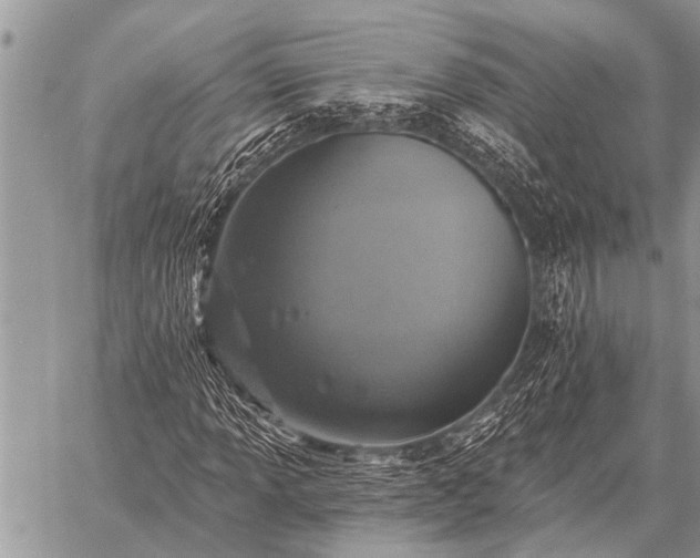 X0000059041013200510171843