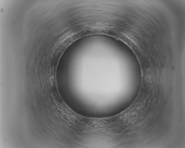 X0000059041015200510171843