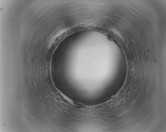 X0000059041016200510171843