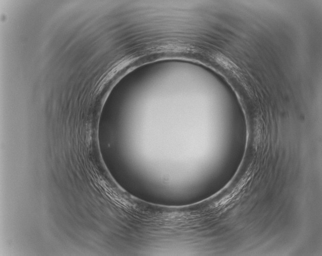 X0000059041017200510171843