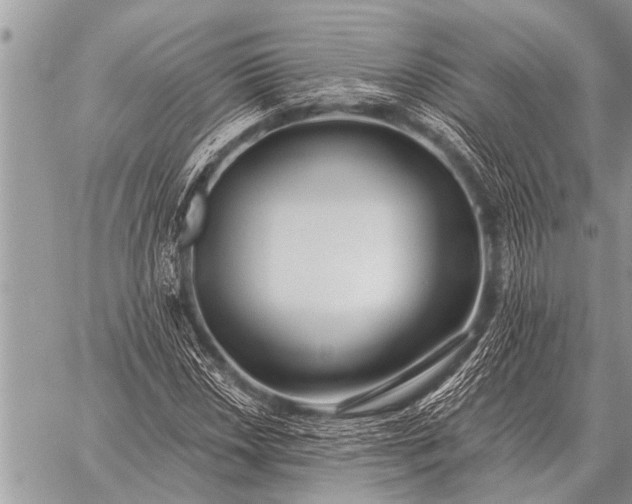 X0000059041018200510171843