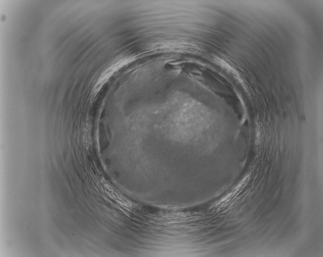 X0000059041019200510171843