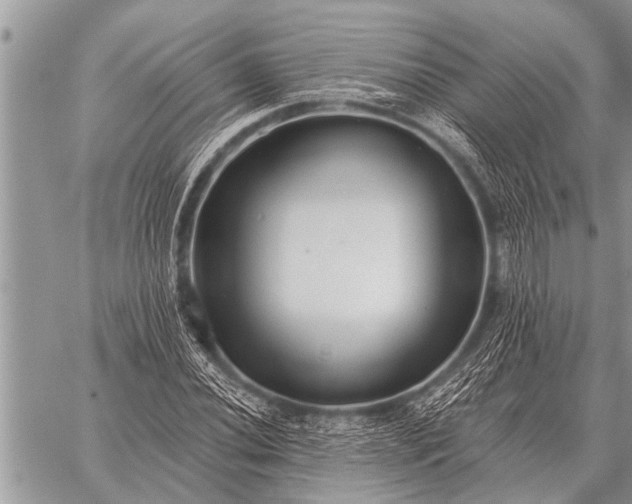 X0000059041020200510171843