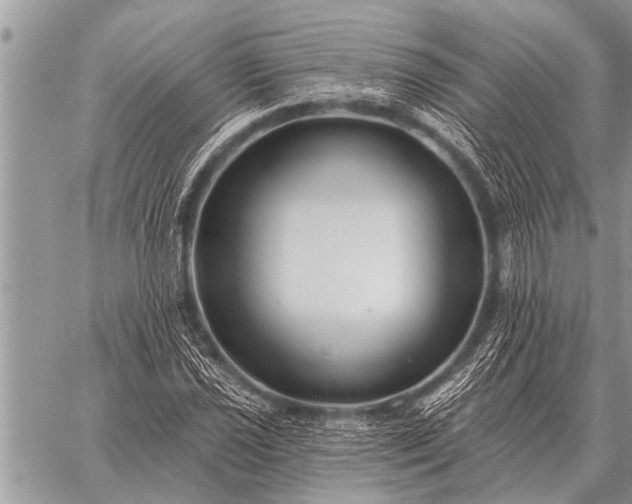 X0000059041021200510171843