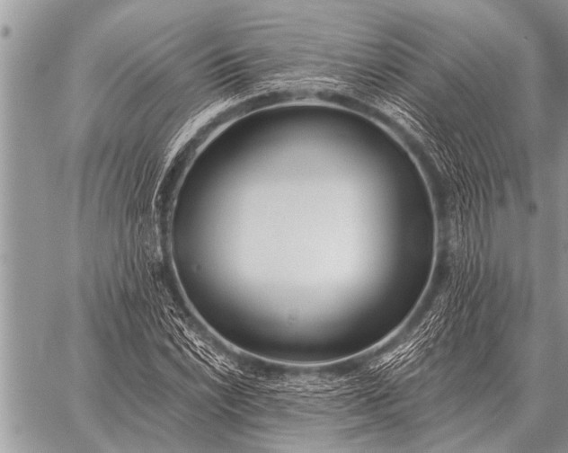 X0000059041022200510171843