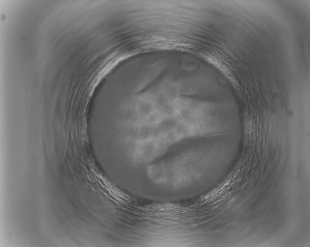 X0000059041023200510171843