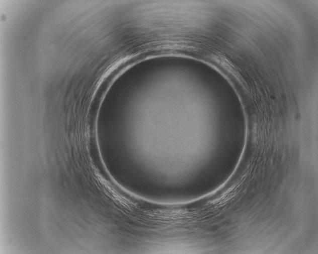 X0000059041024200510171843