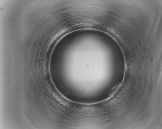 X0000059041026200510171843