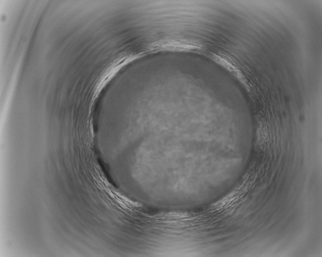 X0000059041027200510171843