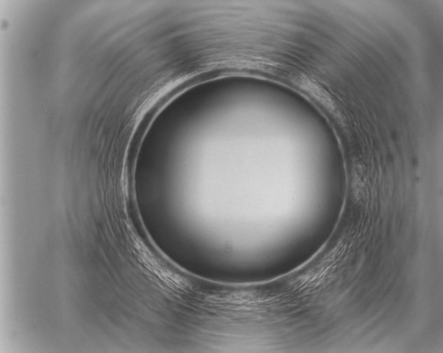 X0000059041028200510171843