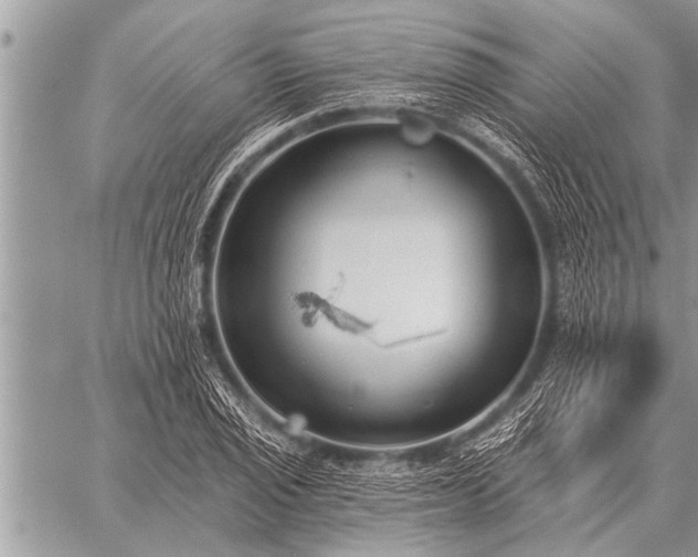 X0000059041029200510171843