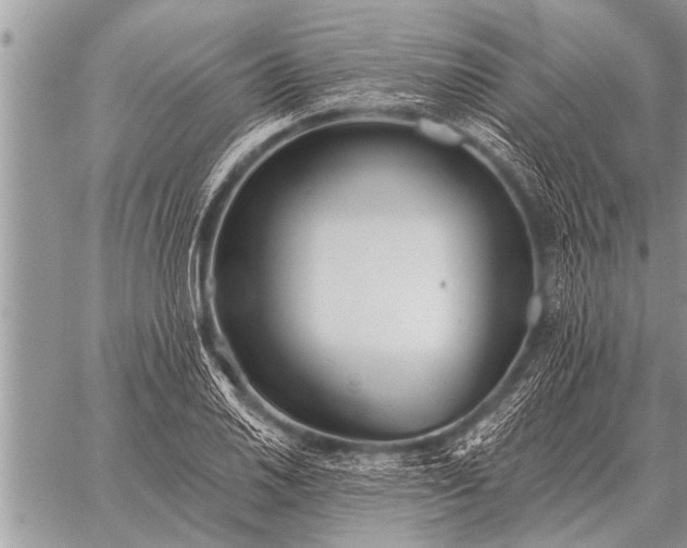 X0000059041030200510171843