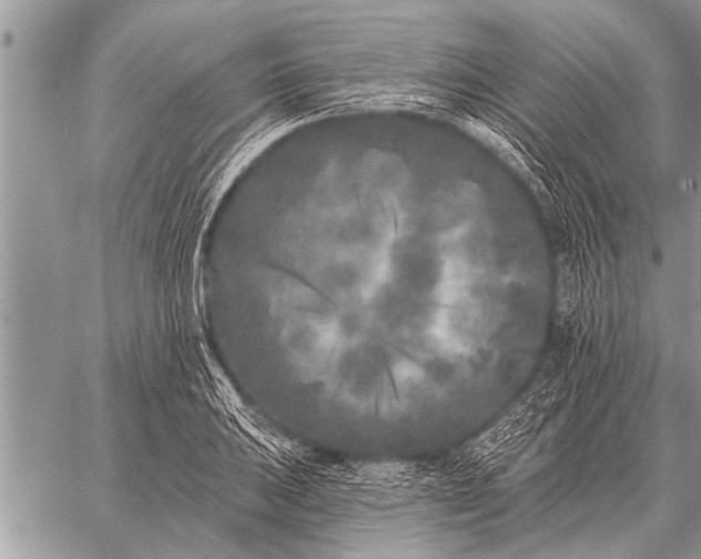 X0000059041031200510171843