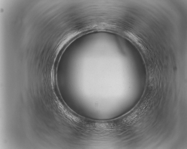 X0000059041032200510171843