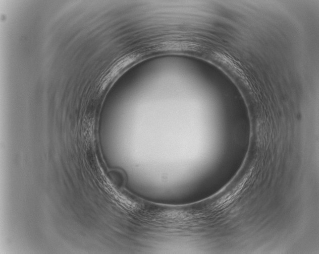 X0000059041033200510171843