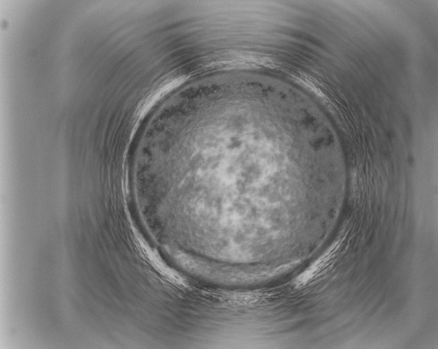 X0000059041034200510171843