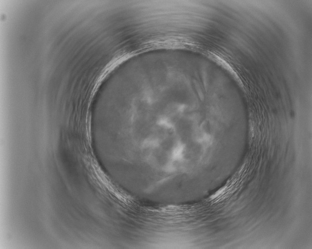 X0000059041035200510171843