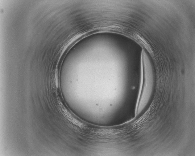 X0000059041036200510171843