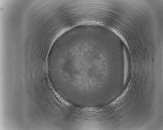 X0000059041037200510171843