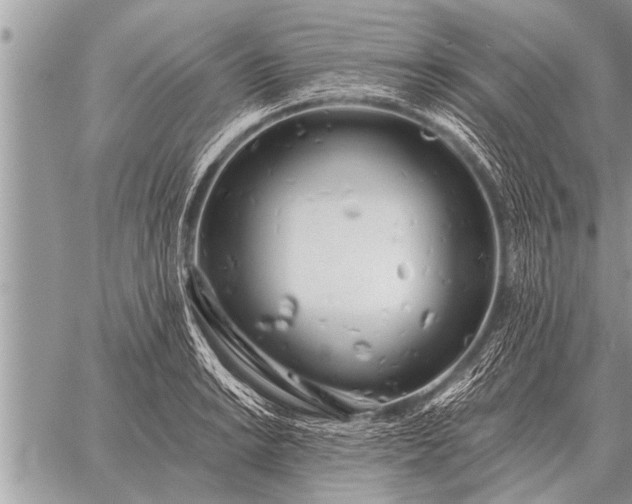 X0000059041038200510171843