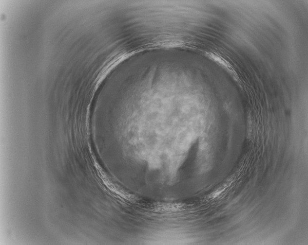 X0000059041039200510171843