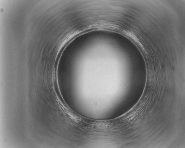 X0000059041040200510171843