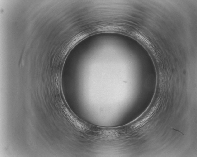 X0000059041041200510171843