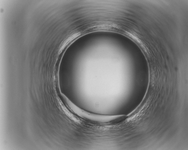 X0000059041042200510171843