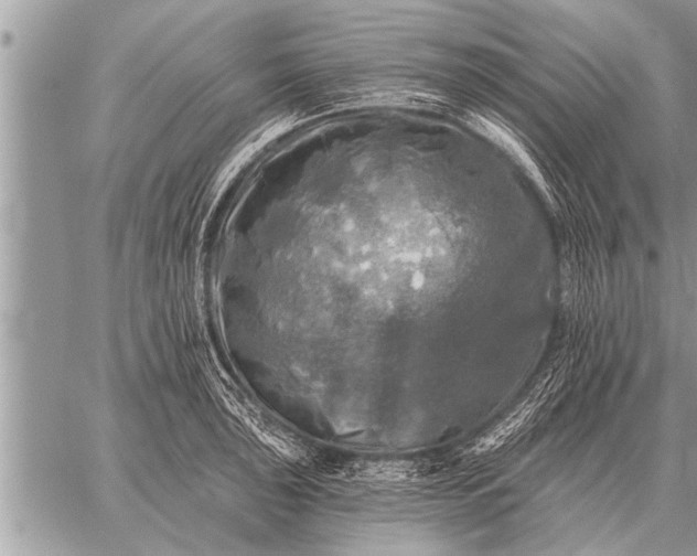 X0000059041043200510171843