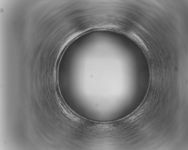 X0000059041044200510171843