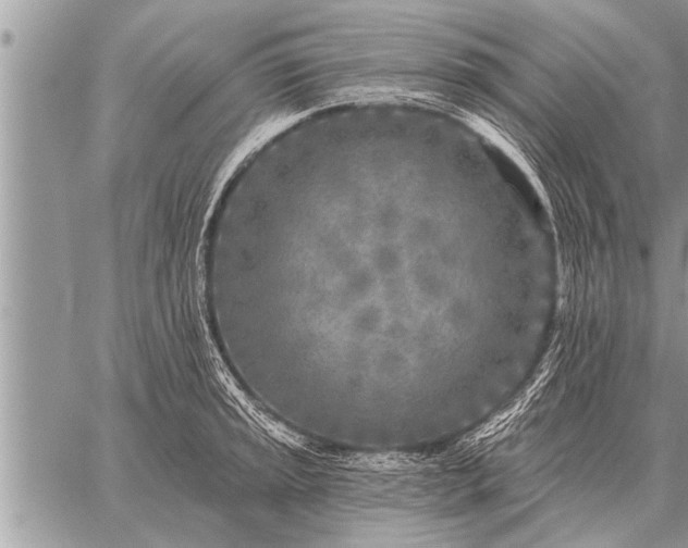 X0000059041045200510171843