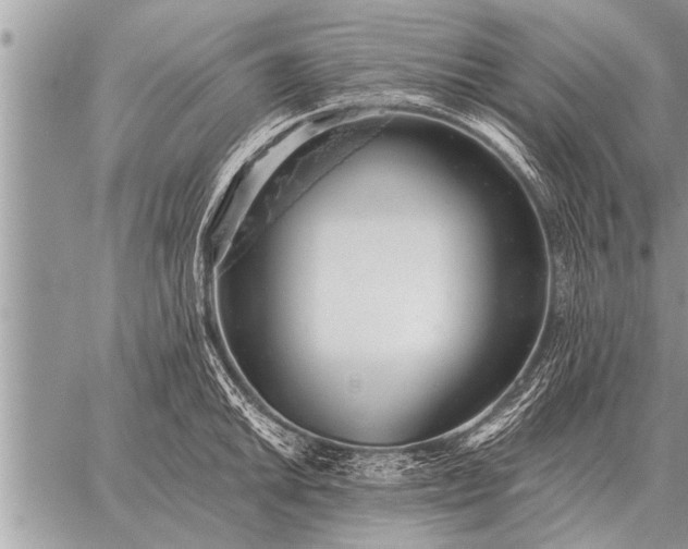 X0000059041046200510171843