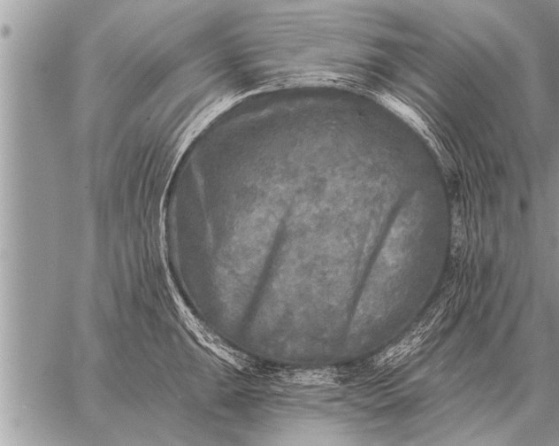 X0000059041047200510171843